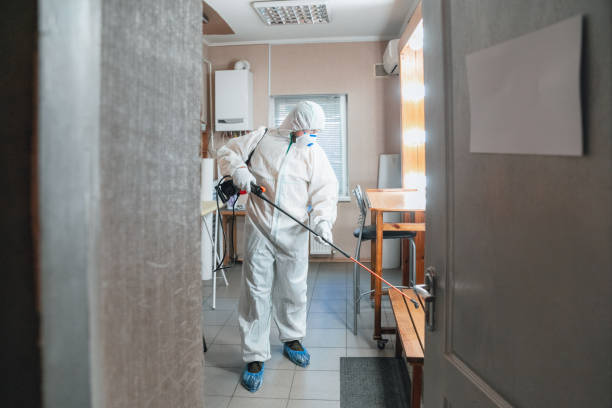 Best Forensic Mold Investigation  in Hoback, WY