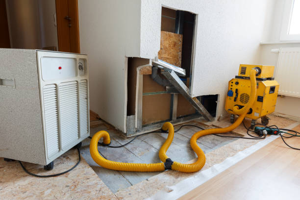 Best Residential Mold Inspection & Testing  in Hoback, WY